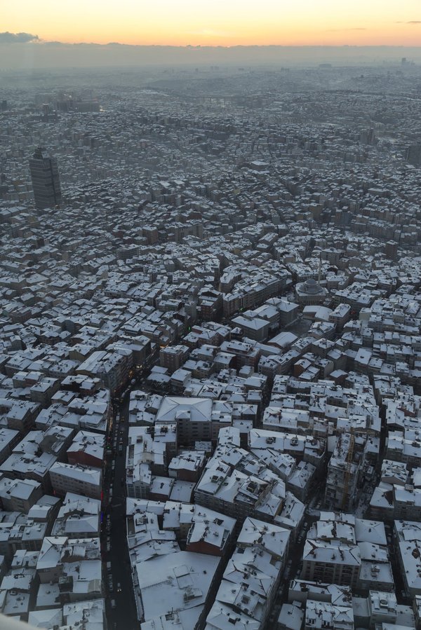 What Is the Future of Sustainable and Eco-Friendly Housing in Overpopulated Cities?