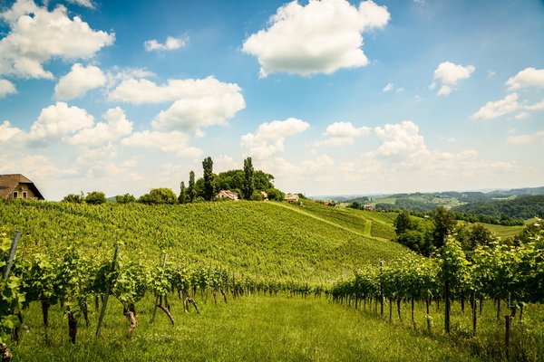 What Are the Key Considerations for Selecting a Sequin Mini Dress That Shimmers Without Overwhelming?