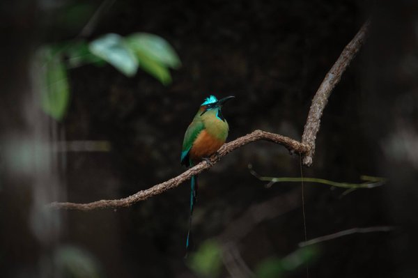 What Are the Essential Tips for Small Businesses to Improve Online Customer Experience?