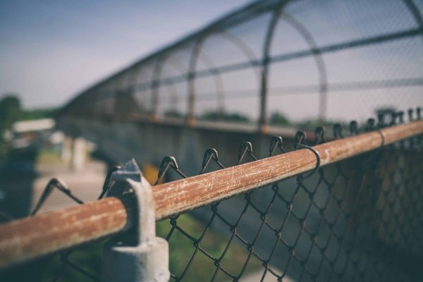 What Are the Best Practices for Safeguarding Your Pet in Urban Environments?